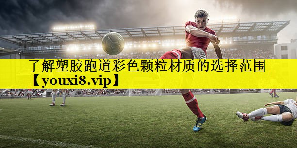 了解塑胶跑道彩色颗粒材质的选择范围