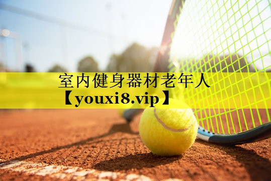 室内健身器材老年人
