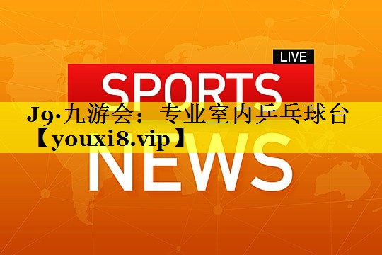 专业室内乒乓球台 专业室内乒乓球台