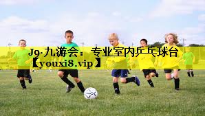 专业室内乒乓球台 专业室内乒乓球台